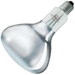Philips Heat Incandescent Light Bulb (12659)
