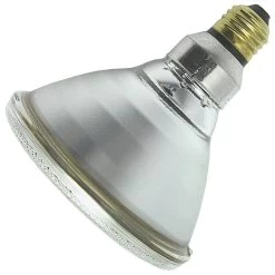Philips Halogen Incandescent Light Bulb (138743)