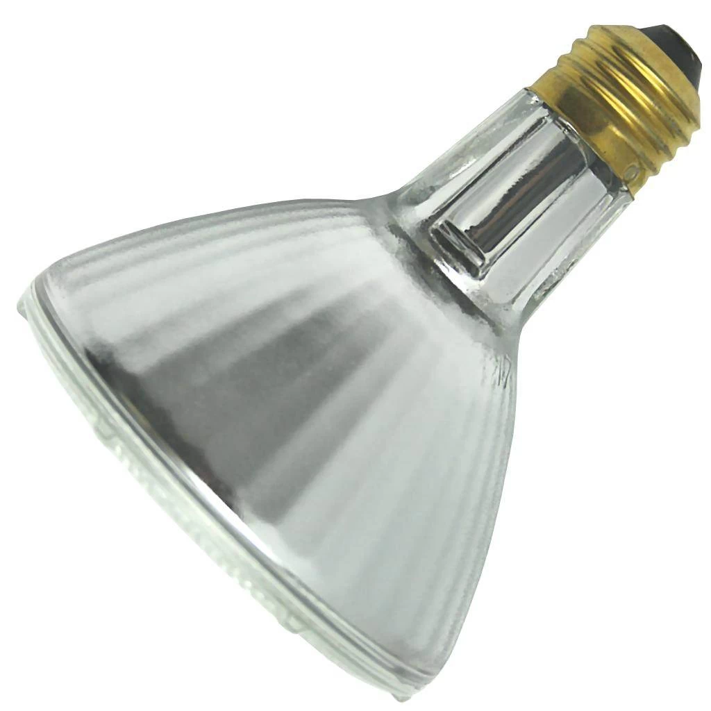 Philips Halogen Incandescent Light Bulb (428920)