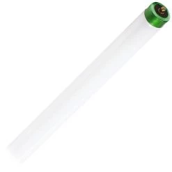 Philips Light Bulb (236844)