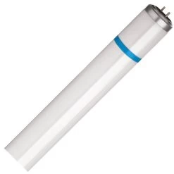 Philips Fluorescent Light Bulb (258996)