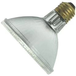 Philips Halogen Incandescent Light Bulb (144997)