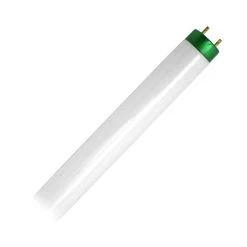 Philips Fluorescent Light Bulb (280982)