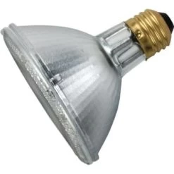 Philips® 40w Par30 Halogen Flood Bulb