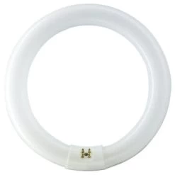 Philips® Fluorescent Bulb, 22 Watt, T9 Circline, 4,100k, 62 Cri