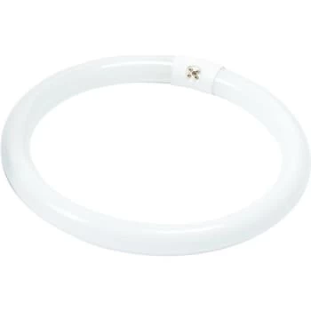 Philips® Fluorescent Bulb, 32 Watt, T9 Circline, 4,100k, 62 Cri