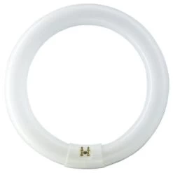 Philips® Fluorescent Bulb, 32 Watt, T9 Circline, 4,100k, 62 Cri