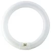 Philips® Fluorescent Bulb, 32 Watt, T9 Circline, 3,000k, 85 Cri