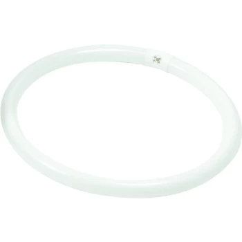 Philips® Fluorescent Bulb, 40 Watt, T9 Circline, 4,100k, 62 Cri