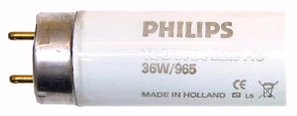 Philips Fluorescent Light Bulb (888624)