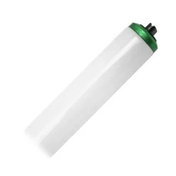Philips Fluorescent Light Bulb (369785)