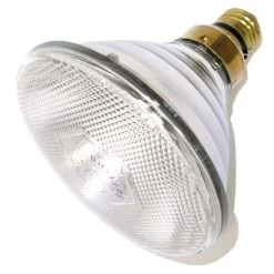 Philips Incandescent Light Bulb (374322)