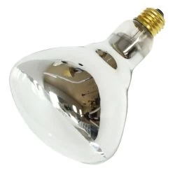 Philips Incandescent Light Bulb (389320)