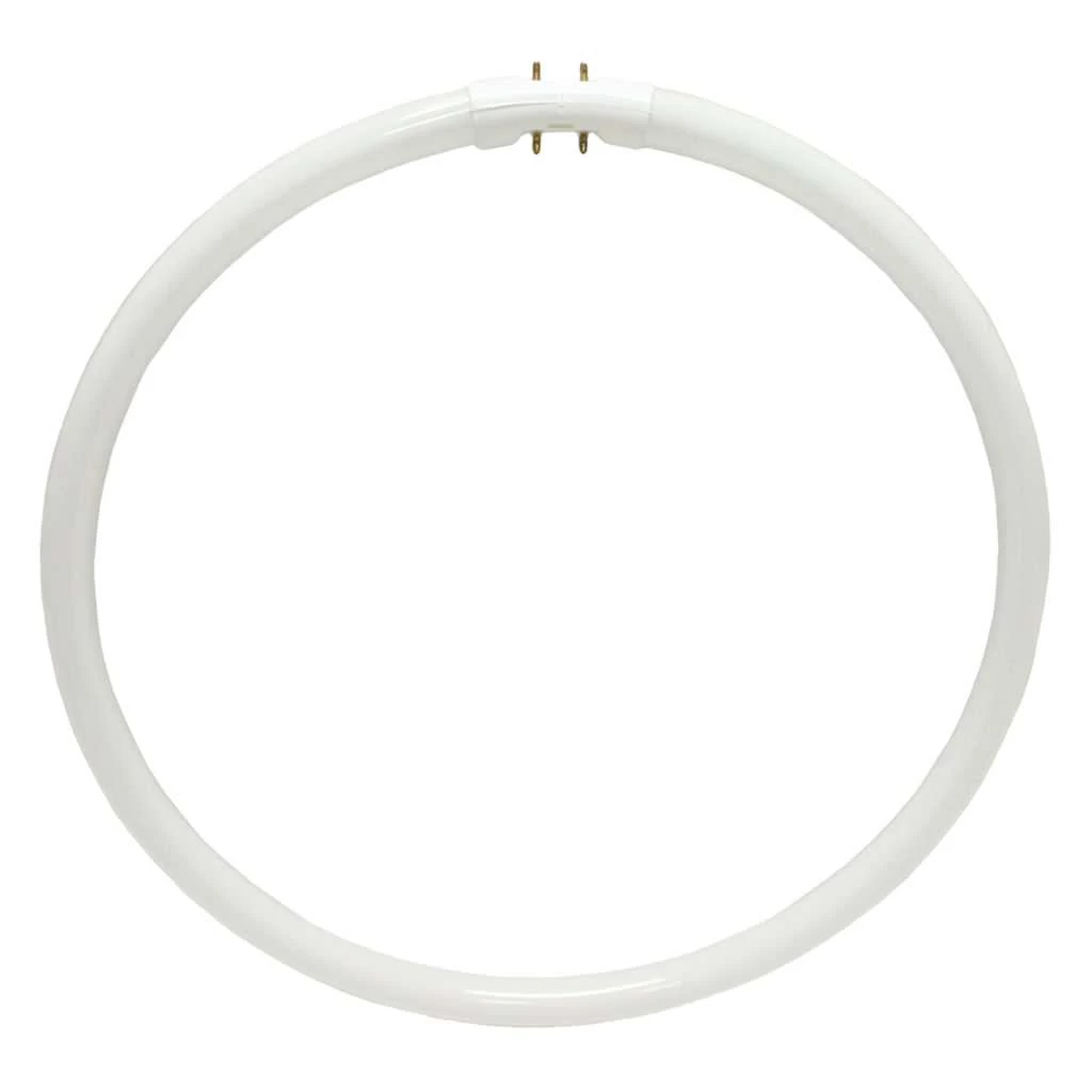 Philips Fluorescent Light Bulb (165936)