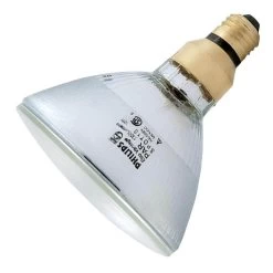 Philips Halogen Light Bulb (419382)