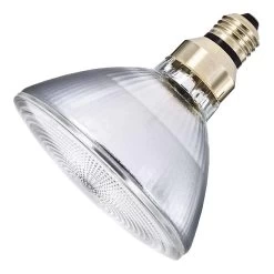 Philips Halogen Light Bulb (419424)