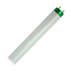 Philips Fluorescent Light Bulb (479600)