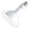 Philips LED Reflector Flood Retrofit (577882)