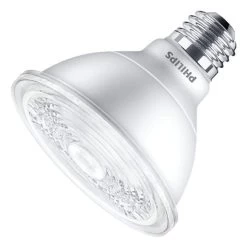 Philips LED Flood Light Bulb (470880)