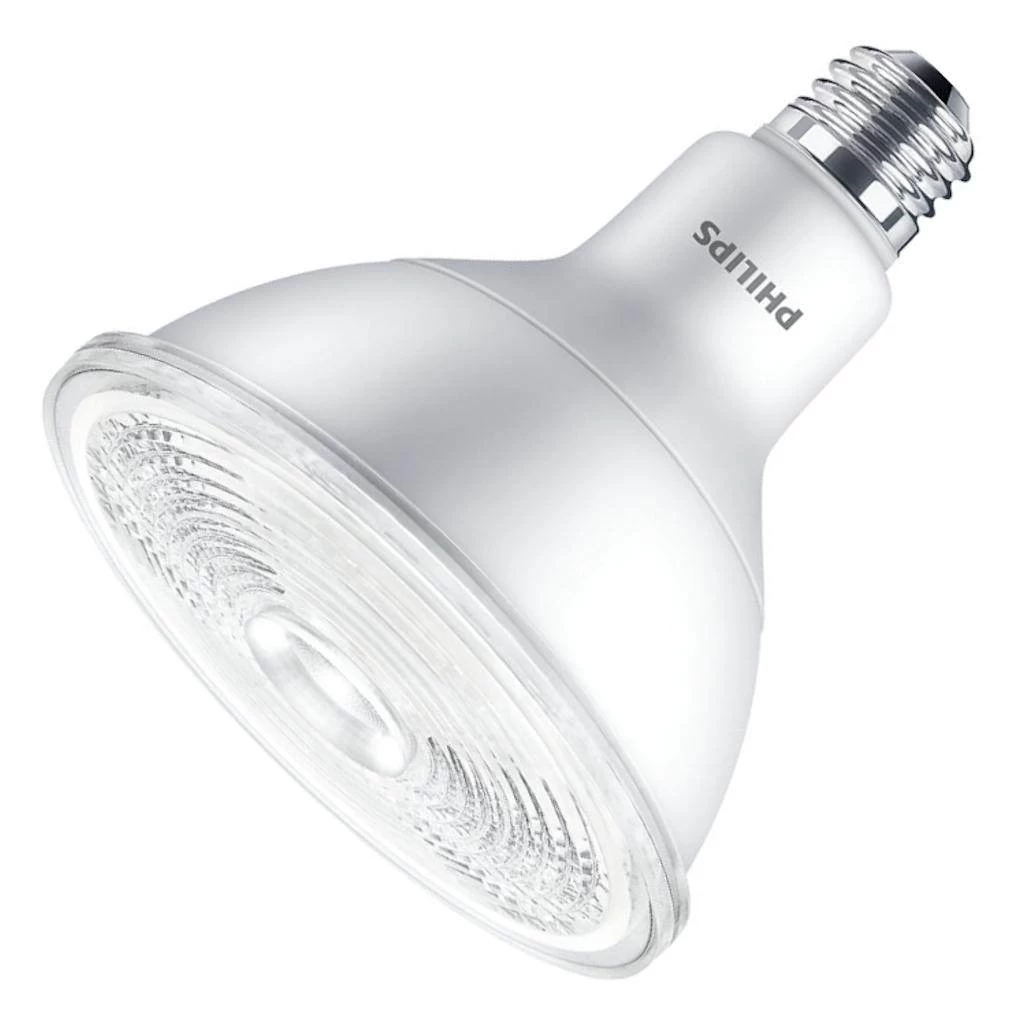 Philips LED Spot Light (470996)