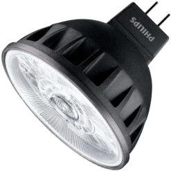 Philips LED Reflector Flood Retrofit (573535)