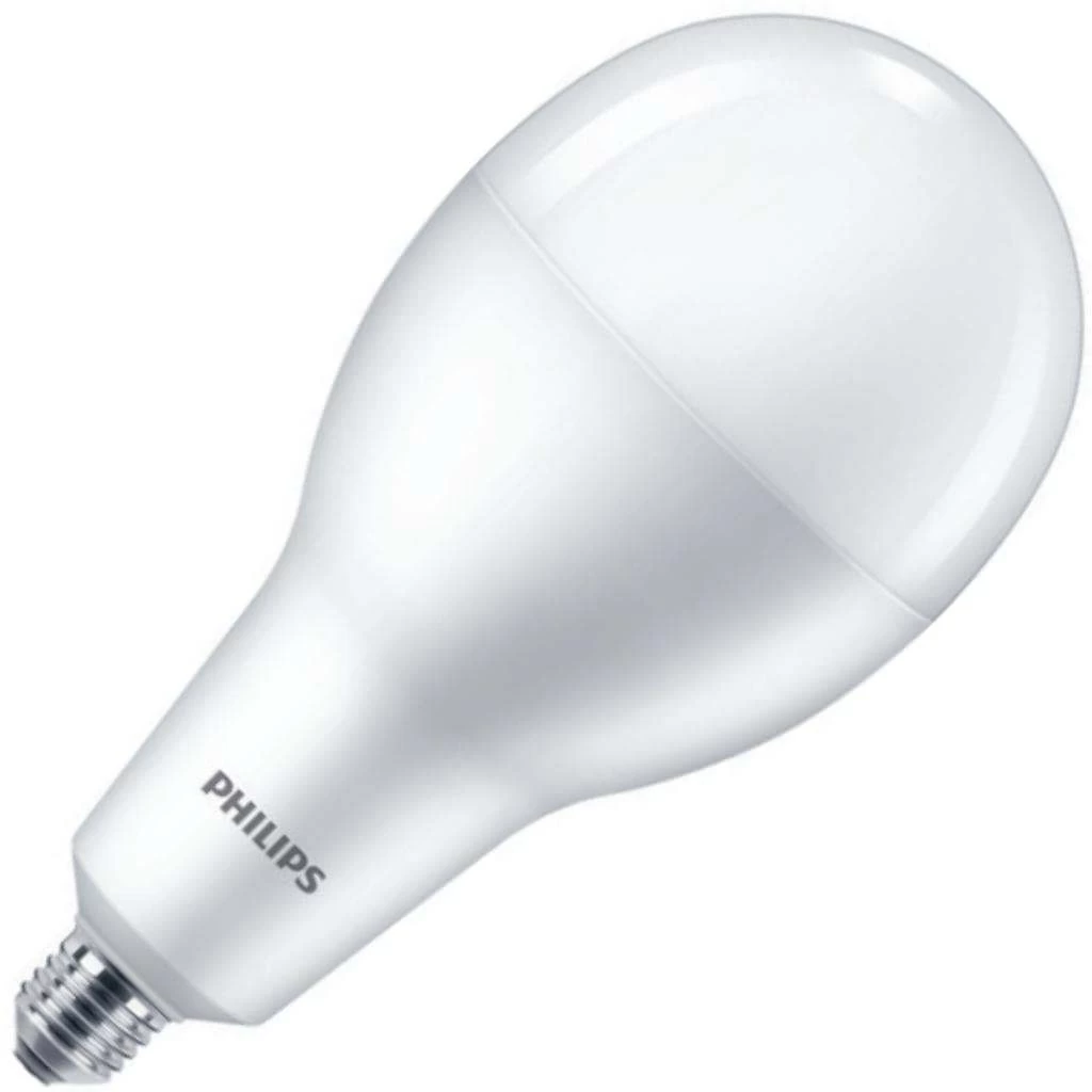 Philips LED Light Bulb (479303)