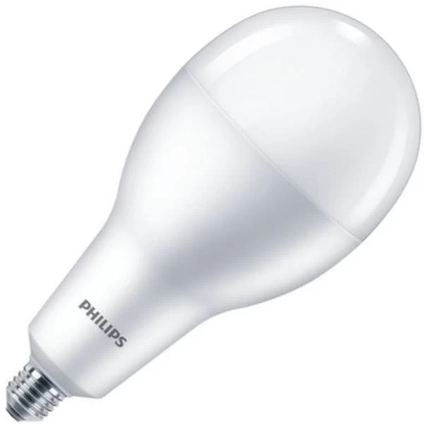 Philips LED Light Bulb (479303)