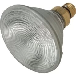 Philips® 72w Par38 Halogen Flood Bulb