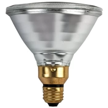 Philips® 53w Par38 Halogen Flood Bulb