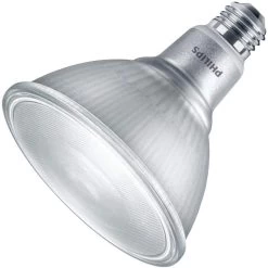 Philips LED Flood Light Bulb (529537)