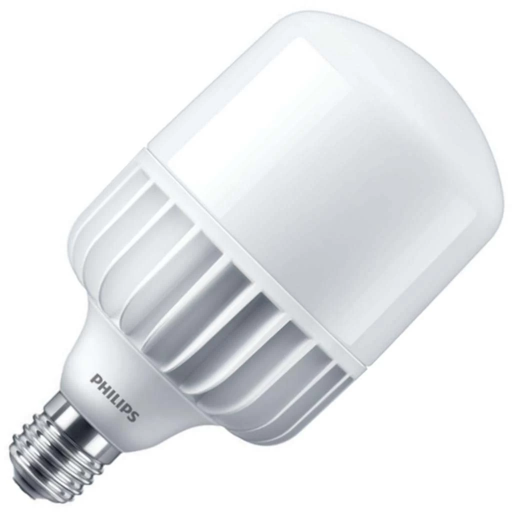 Philips LED Light Bulb (542324)