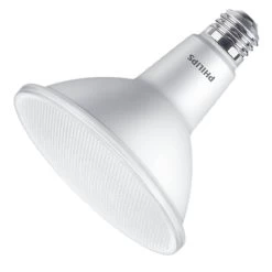 Philips LED Light Bulb (546945)