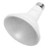 Philips LED Reflector Flood Retrofit (546969)