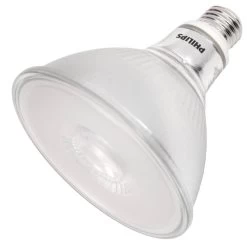 Philips LED Light Bulb (567891)