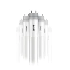 Philips LED Light Bulb (10 Pack) (568519)