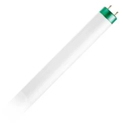 Philips Fluorescent Light Bulb (571034)