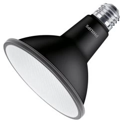 Philips LED Light Bulb (576470)