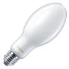 Philips LED Light Bulb (577577)