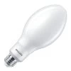 Philips LED Light Bulb (578823)