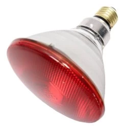 Philips Heat Incandescent Light Bulb (600530)