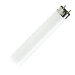 Philips Fluorescent Light Bulb (95047)