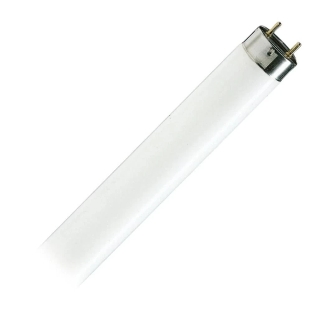 Philips Fluorescent Light Bulb (95047)