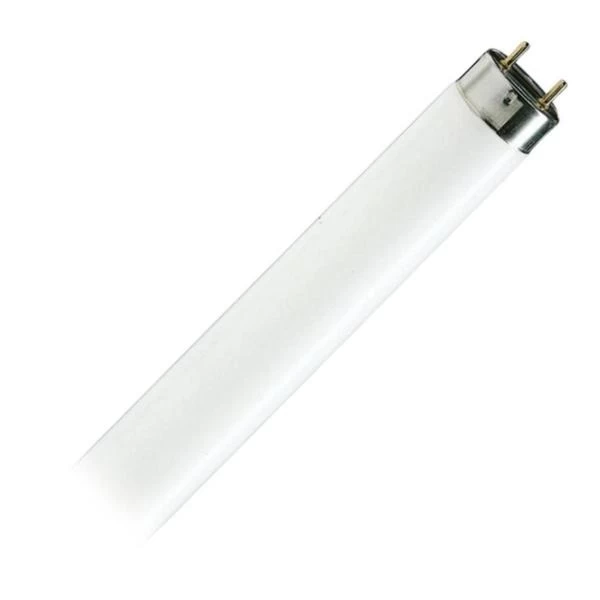 Philips Fluorescent Light Bulb (95047)