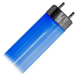 Philips Fluorescent Light Bulb (954150)