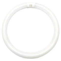 Philips Fluorescent Light Bulb (262600)
