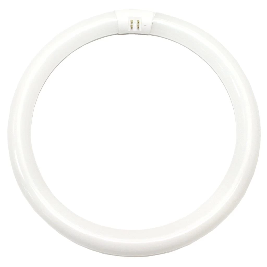 Philips Fluorescent Light Bulb (391177)