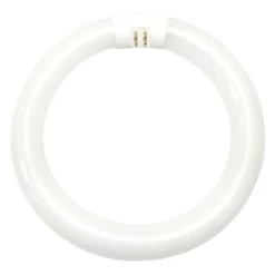 Philips Fluorescent Light Bulb (392225)