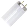 Philips Fluorescent Light Bulb (421560)