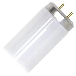 Philips Fluorescent Light Bulb (273326)