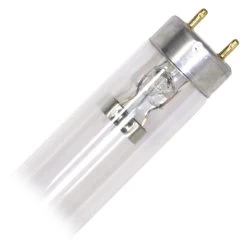 Philips Fluorescent Light Bulb (360164)
